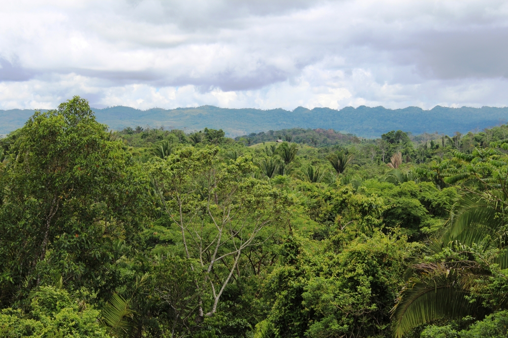 View of the Maya Mountains looking from Belize to Guatamala.