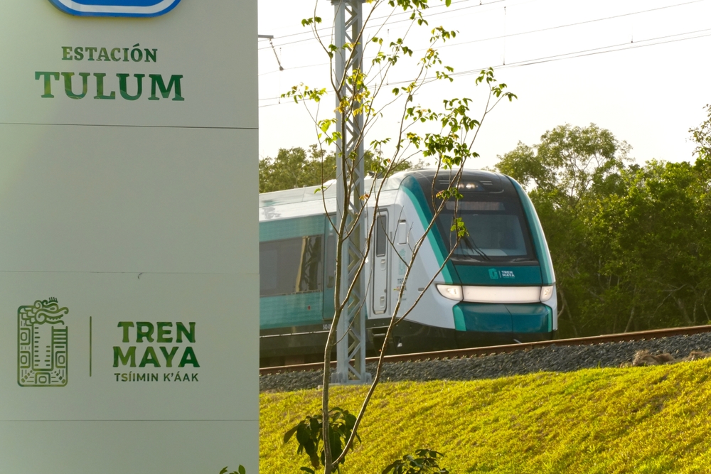 The Tren Maya Tulum Station has a large canopy roof, tall treelike columns