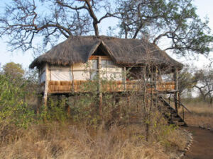 A tent at Treetop