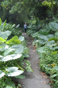 Trappist Monastery Trail