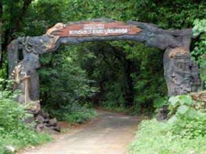 ecotourism1