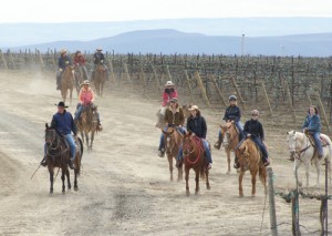 Spend the day horseback riding to local wineries.