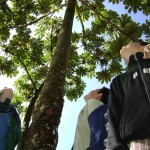 Cloud Forest School - Photo Credit :CEC