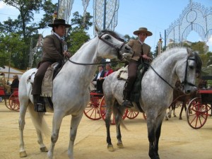 Horses in Jerez de la Frontera, Spain