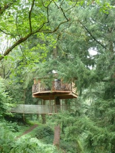 Tree-house