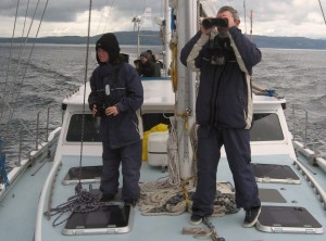 marine conservation_cetacean observation duty