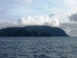 shark diving_cocos island