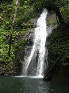 shark diving_cocos island waterfall