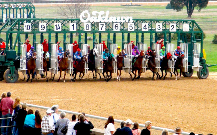 Oaklawn thoroughbreds