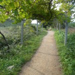 Camino de Santiago, Spain