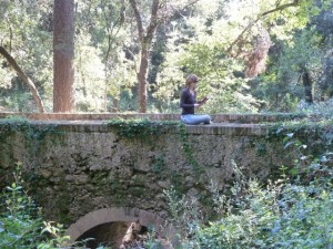 Parc de Collserola