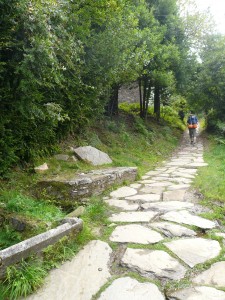 Walking the Camino