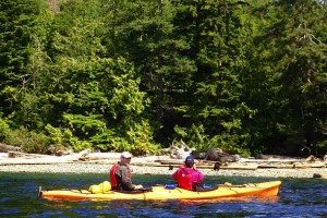 A black bear and her two cubs spotted while kayaking.