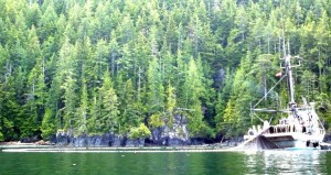 A boat fishing for salmon that kindly gave us a few of their daily catch.