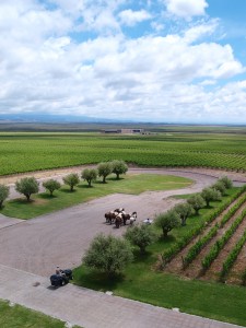 Clos de Los Siete Winery