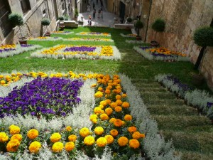 Blossoms blanket the city - Temps de Flors