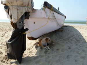 Patnem Beach, India