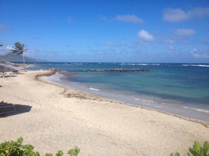 Mountain Beach Jetty Nisbet Plantation