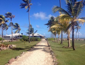 Walkway to Beach Nisbet Plantation