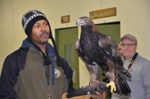 Golden Eagle