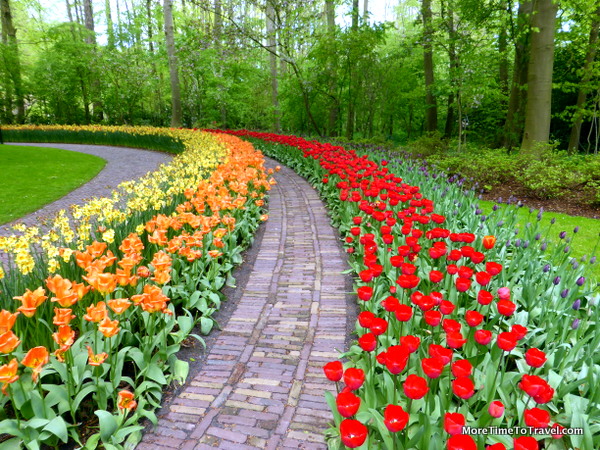 One of the paths at Keukenhof Gardens