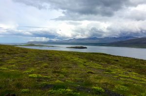 Every twist along the fjord offers a gorgeous view