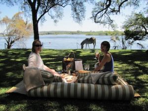 A picnic by the Zambezi River with grazing zebra.