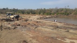 The perfect picnic spot by the Ruaha River