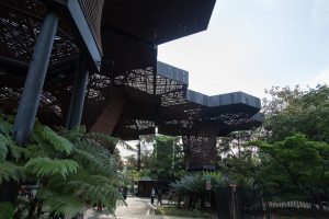 orquideorama-medellin-cortesia-procolombia