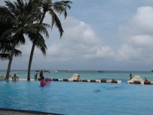 A tough choice - the pool or the ocean?