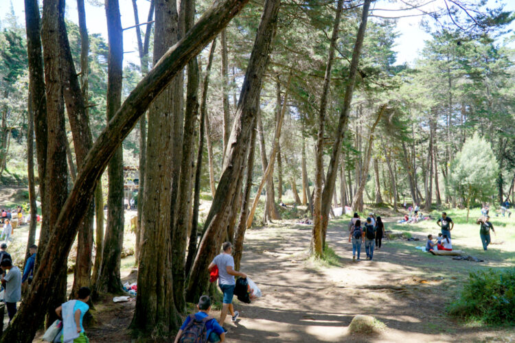 Public park Arvi in the city of Medellin