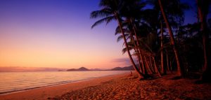 Palm Cove at Dawn
