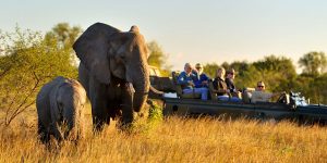 SensationalSouthAfrica