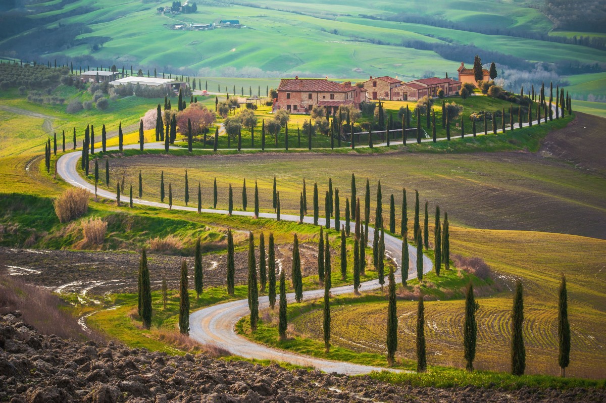 Tuscany Italy fields