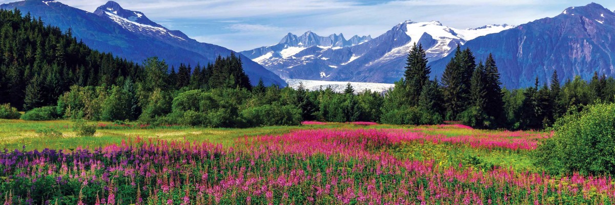 Southeast Alaska Cruise