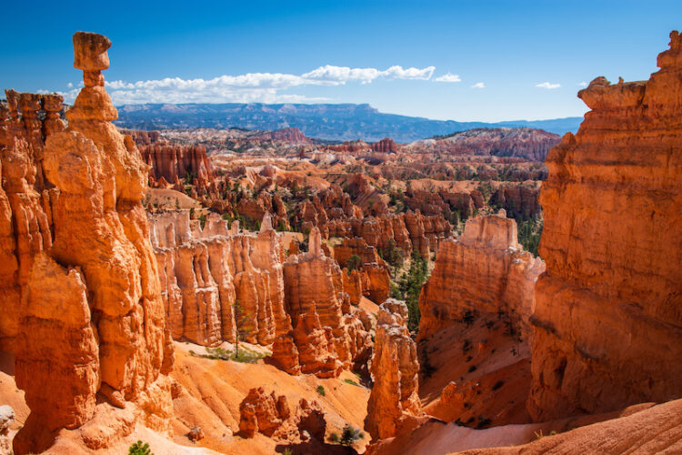 Bryce Canyon National Park at Navajo Loop Trail, Utah, USA