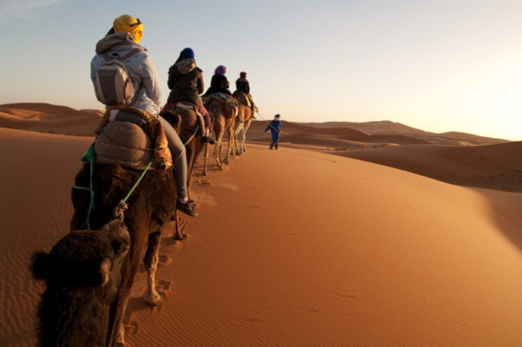 Camel tour in Moroccan Sahara desert.