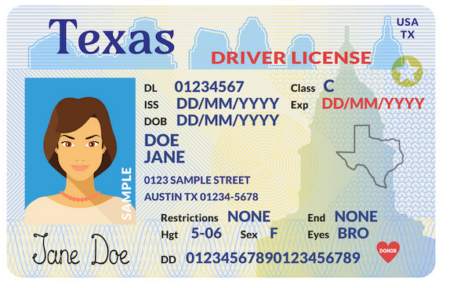 Drivers License