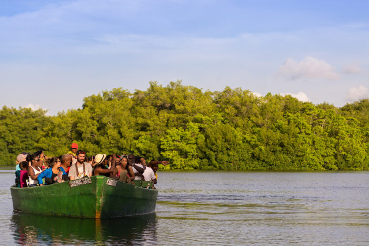 Caroni,Swamp, Trinidad