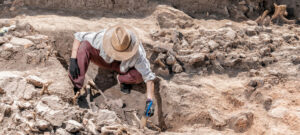 Archaeological excavations, human skeleton remains, found in an ancient tomb.