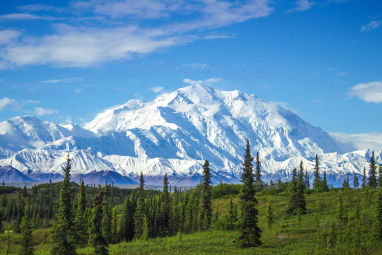 Mount Denali