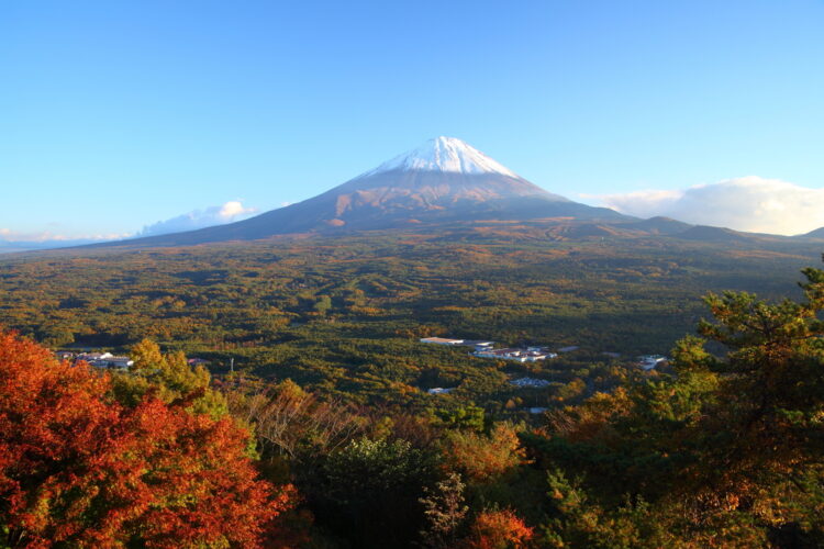 Mt Fuji