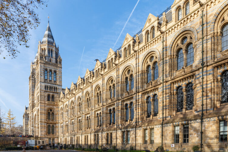 Natural History Museum London