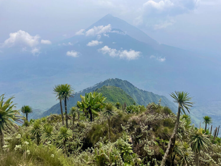 gahinga-i-muhabura-rwanda