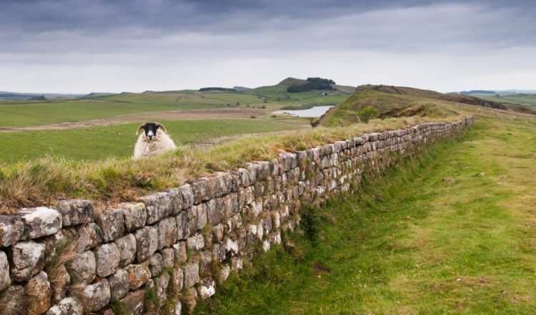 Remnants of Hadrian's wall along the border of England and Scotland