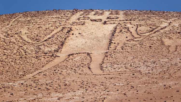 Giant of the Atacama, Tarapaca region of northern Chile.