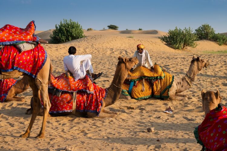 Rajasthan, India - Camel owners with camels