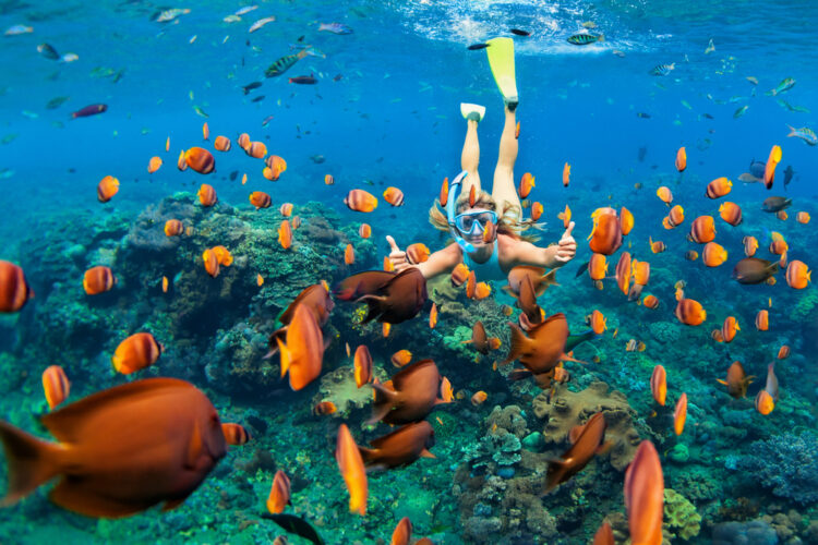 Snorkeling in the Maldives