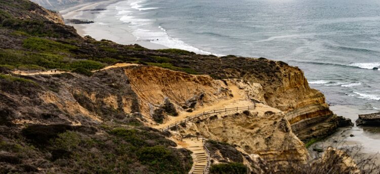 Torrey Pines State Park