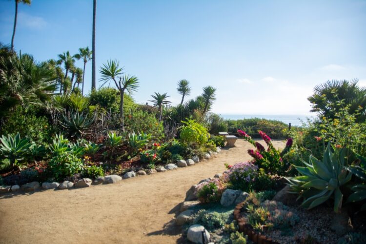 Self-Realization Fellowship Meditation Gardens, Encinitas